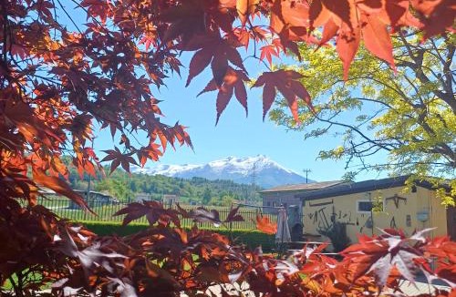 Pianfei Bed & Breakfast | ACERO ROSSO