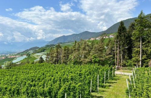 Brez House | Agritur Maso Forcola
