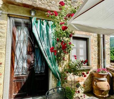 San Godenzo House | Agriturismo Il Colle - Appartamento Gelso