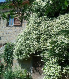 Pitigliano House | Agriturismo Solidor