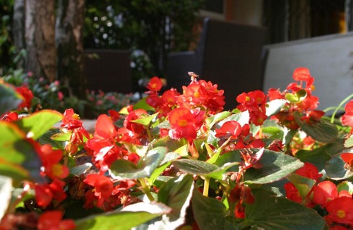 Scardovari Hotel | Air Hotel