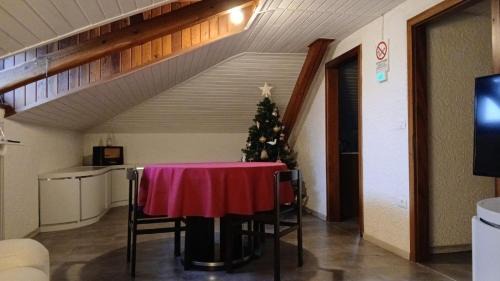 Monclassico Apartment | Ampia Mansarda a Dimaro in Val di Sole
