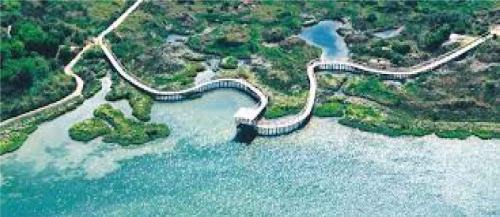 Rosapineta Apartment | Apartment in Rosolina Mare 25069