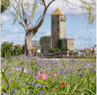 Cavallino-Treporti Villa | Appartamento Alla Torre 162