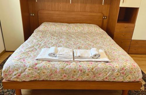 Auronzo di Cadore Apartment | Appartamento Ansiei