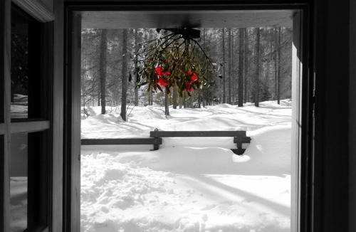 Chardonney Bed & Breakfast | Appartamento "Le Temps d'une Pause"