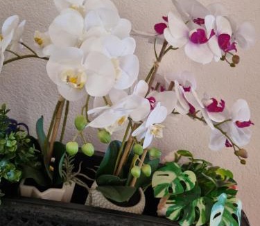 Monfalcone Apartment | Appartamento Valentinis 74