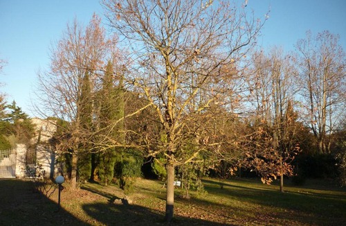 Viterbo Bed & Breakfast | B&B Alle Terme
