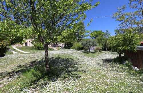 Avacelli House | B&B Bosimano