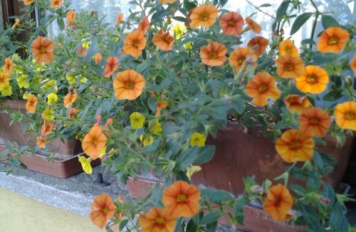 Candelo Bed & Breakfast | B&B Casa Dolce Casa