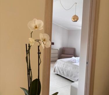 Mormanno Bed & Breakfast | B&B La Terrazza