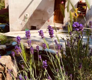 Gubbio Bed & Breakfast | B&B Paradiso