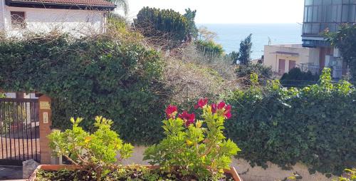 Aci Trezza Bed & Breakfast | B&B Stella Marina