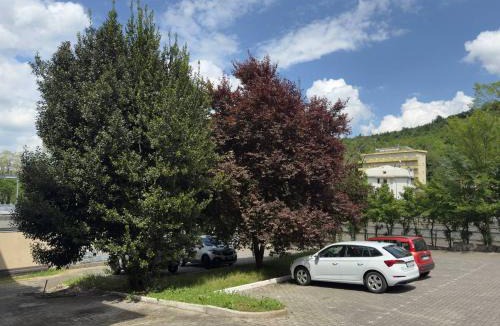 Bagni di Tabiano Hotel | BaB Hotels and Apartments Helvetia