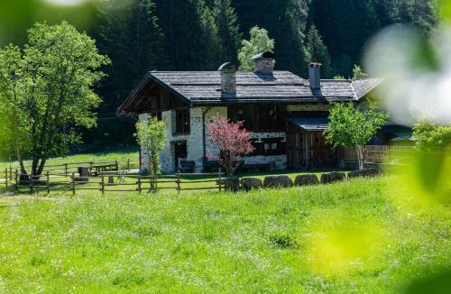 Pellizzano Ski Chalet | Baita Tomaselli