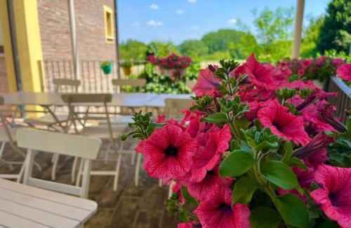 Solferino Bed & Breakfast | Bed & Breakfast Carpe Diem