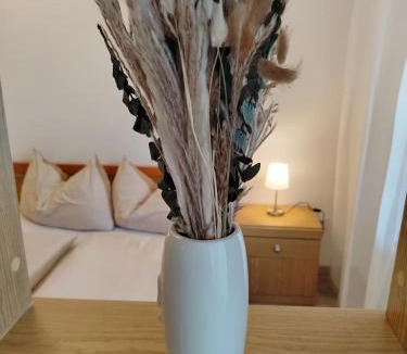 Plaus Apartment | Bergblick 33