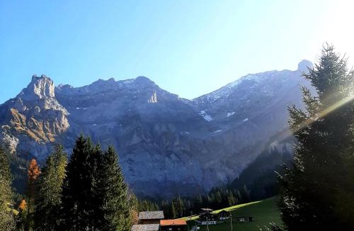 Adelboden Ski Chalet | Bunderbach