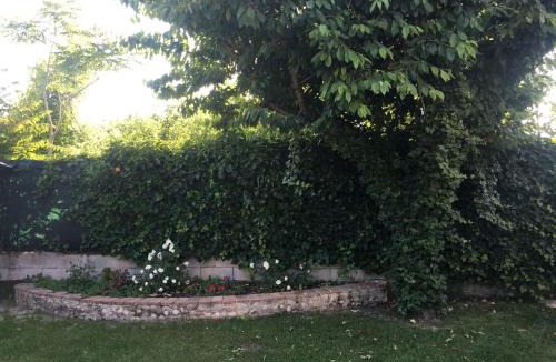 Bagnolo San Vito Bed & Breakfast | Ca' Le Rose
