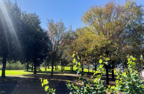 Appio Latino House | Caffarella Park Terraced 2Br Apartment