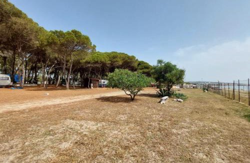 Roccelletta Other | Camping Cammello Grigio