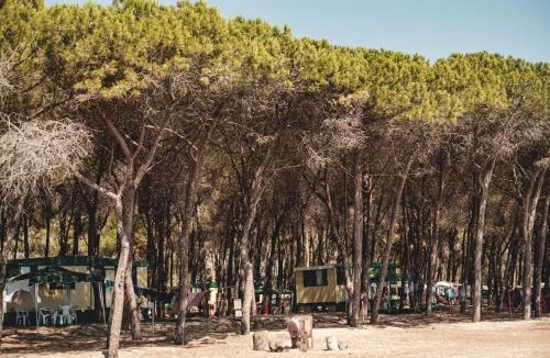 Roccelletta Other | Camping Cammello Grigio