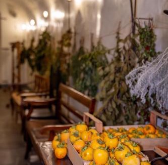 Cologne Resort | Cappuccini Resort