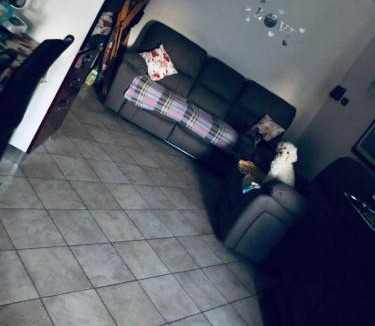 Cogliate Apartment | Casa Alma