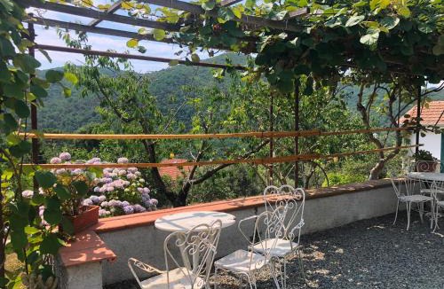 Stella Apartment | Casa Bartola