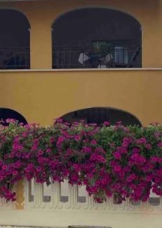 Busca Bed & Breakfast | Casa da Charlie