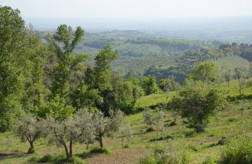Poggio Mirteto House | Casa Franceschini