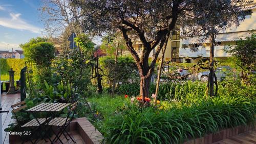 Montegrotto Terme Apartment | Casa Kendra