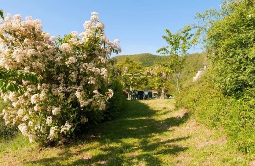 Cortona Villa | CASA LA PRIMULA 4 - LA PRIMULA 4