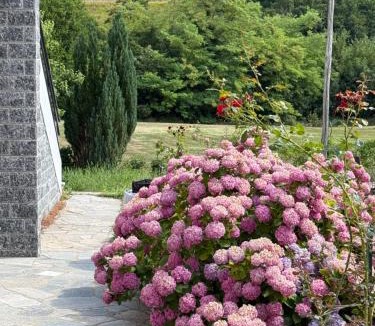 Montoggio House | Casa Ninni