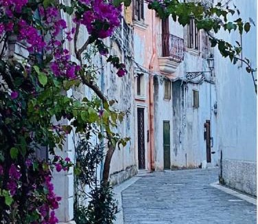 Copertino House | CASATA