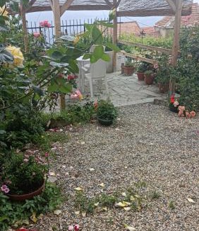 Serra Ricco Apartment | casetta della fontana