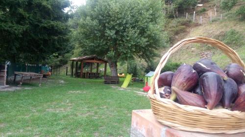 Lamezia Terme Bed & Breakfast | Chalet Reventino