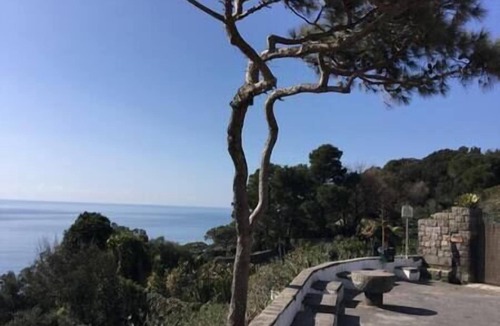 Forio Villa | Charming Villa, Ischia, Punta Caruso, Forio, n.4