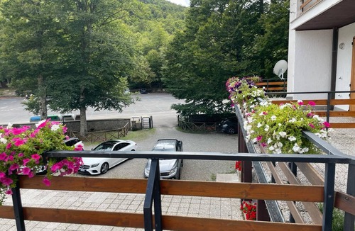 Seggiano Apartment | Cozy apartment in the mountains, with pets allowed