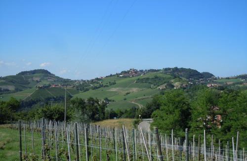 Monforte d'Alba Apartment | Da Ivana e Valter