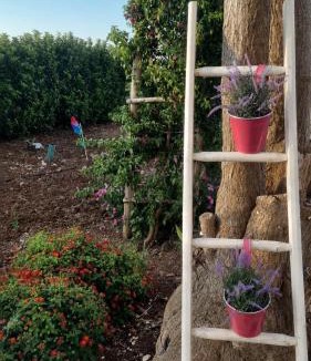 Pantanagianni-pezze Morelli Apartment | Dimora Onda Verde