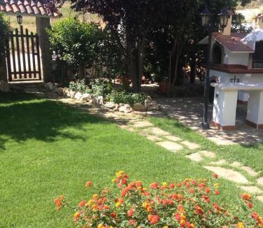 Montescaglioso Bed & Breakfast | Domus Dams B&B