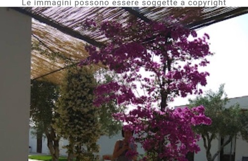 Rosa Marina Bed & Breakfast | Double room in ancient Masseria near the sea in a quiet olive trees.