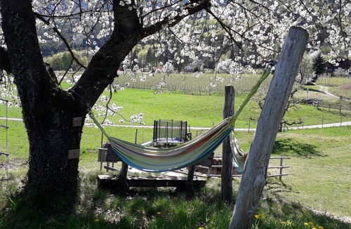 Perdonig/Predonico Apartment | Farm❤