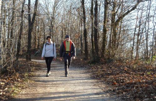 Teolo Bed & Breakfast | Fattoria Busa dell'Oro