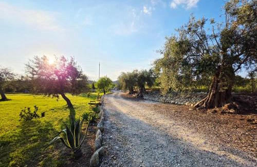 Avola Bed & Breakfast | Feudo Mallav Bungalow B&B Noto