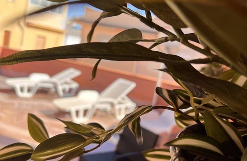 Balestrate House | Filippa house with sea view terrace. ! FREE INTERNET