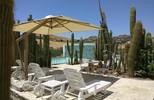 Favara House | Garden Cactus