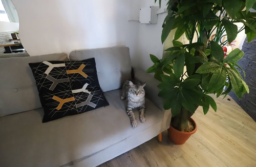 Centro Direzionale House | Guest House Pirelli
