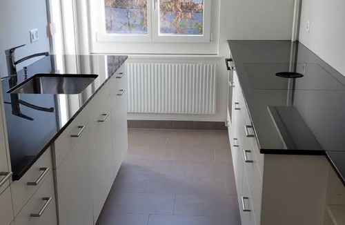 Immensee House | Holiday home directly on Lake Zug